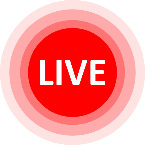 Webcam Dildo